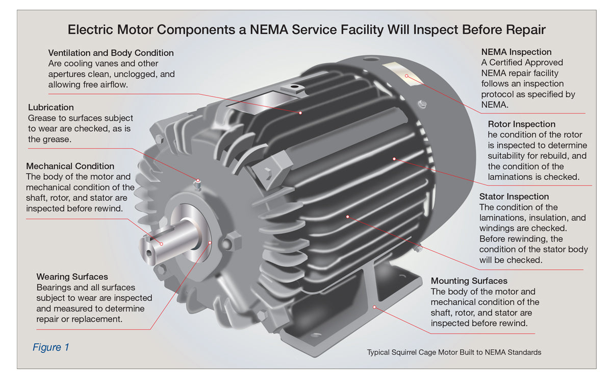 Information Sheet #13 – NEMA Motor Repair, Best Practice & Definitions